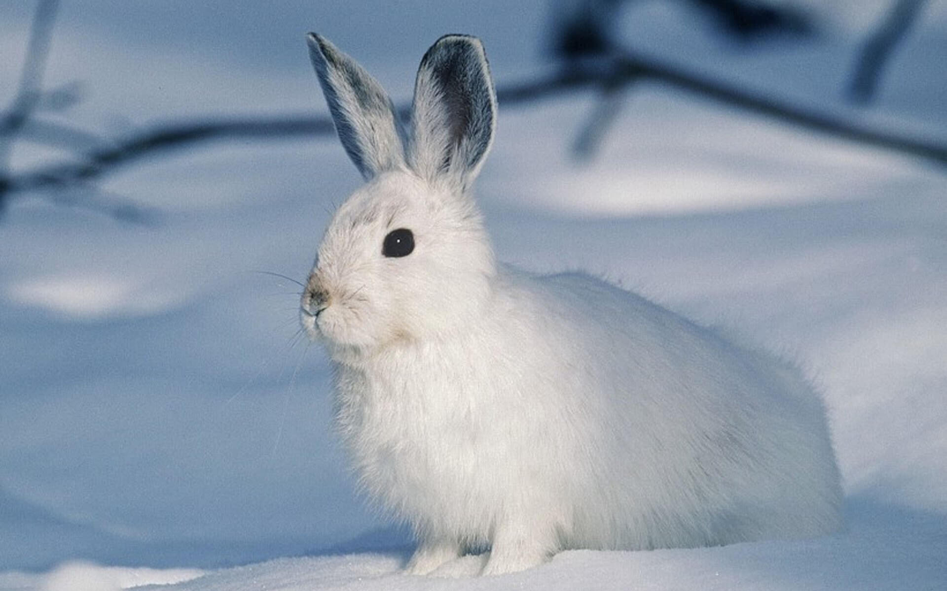 阿里云k8s部署jenkins环境并完成应用构建到部署的流水线作业